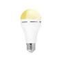 Re-chargeable Light bulb: Screw-in bulb