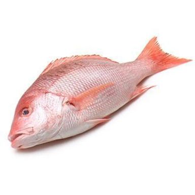 IKAN MERAH