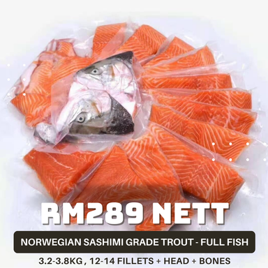 Norwegian Trout (3.3-3.8kg Full Fish) 