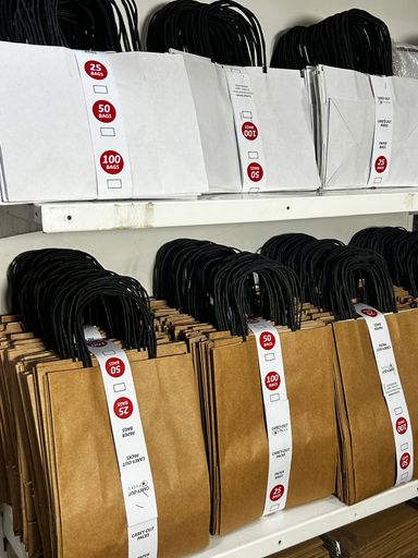 WHITE DELIVERY TAKEOUT BAGS - 9.5” x 7” x 5” - PACK OF 25 BAGS