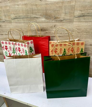WHITE DELIVERY TAKEOUT BAGS - 9.5” x 7” x 5” - PACK OF 25 BAGS