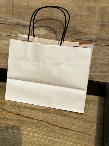 WHITE DELIVERY TAKEOUT BAGS - 9.5” x 7” x 5” - PACK OF 25 BAGS
