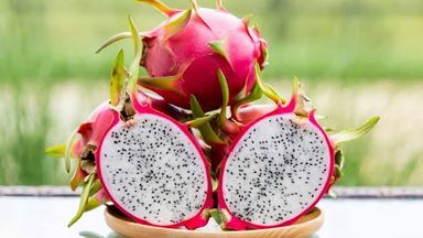 PITHAYA RED (DRAGON FRUIT) 1KG