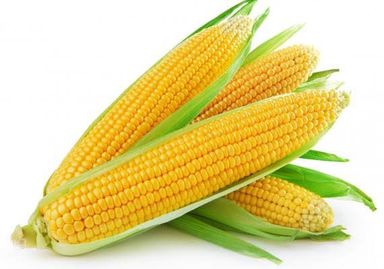 SWEET CORN 1KG