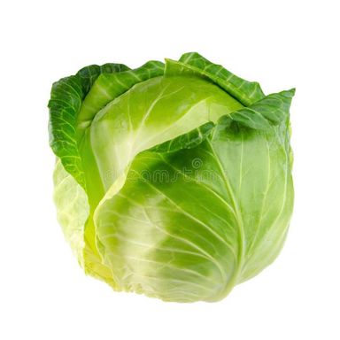 Cabbage