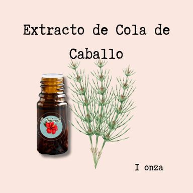 Cola de caballo Extracto