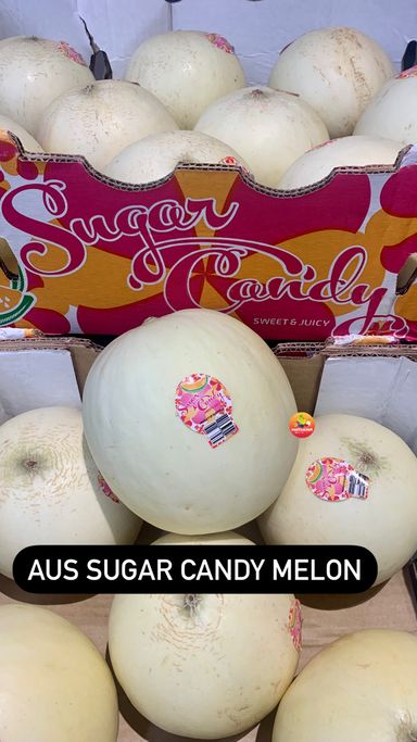 AUS SUGAR CANDY MELON (M)