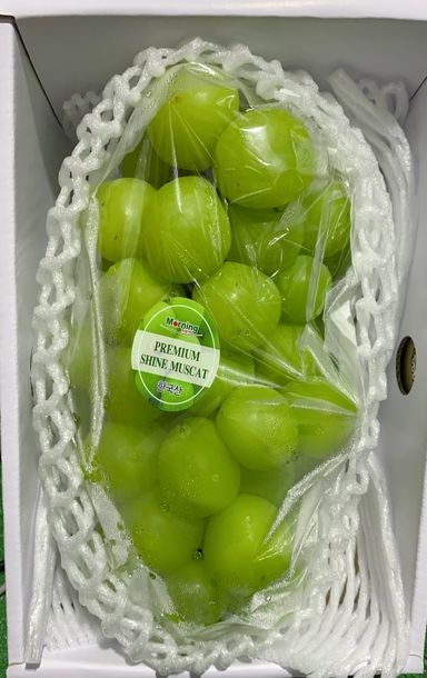 Korean Shine Muscat 