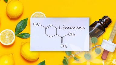 Limoneno