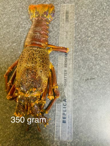 350g Whole Crayfish