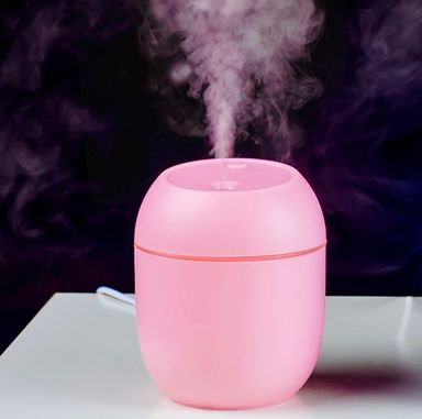 Humidifier 