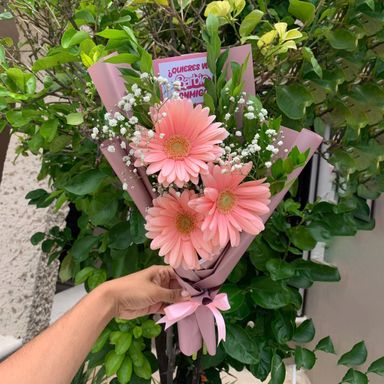 Tiny Gerberas