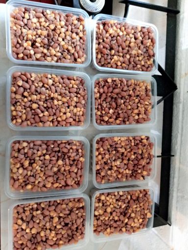 Githeri