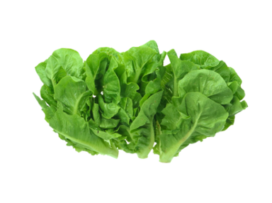 COS Lettuce (150 G) 