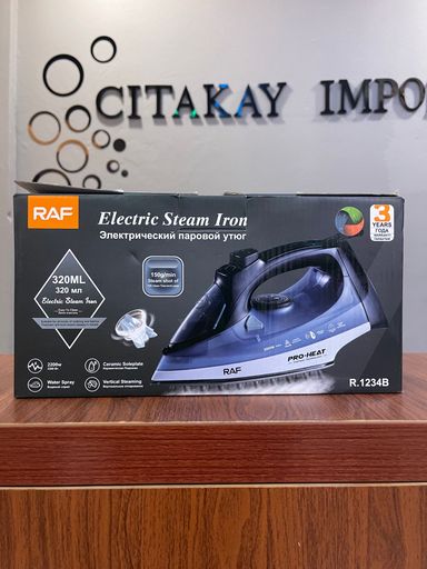 Electric Steam Iron