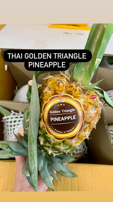 THAI GOLDEN TRIANGLE 金山角 PINEAPPLE (S)
