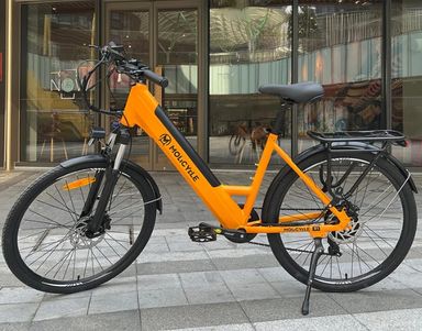 Molicycle R1 250W 26" Elektro-VTC-Citybike 14,5 Ah APP unterstützt