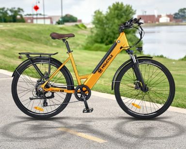 Molicycle R1 250W 26" Elektro-VTC-Citybike 14,5 Ah APP unterstützt