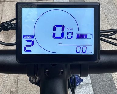 Molicycle R1 250W 26" Elektro-VTC-Citybike 14,5 Ah APP unterstützt