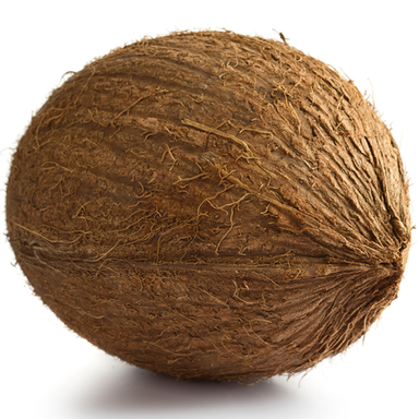 Coconut