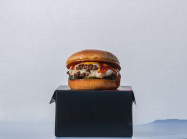 The Cheeseburger