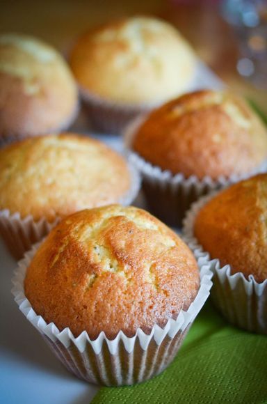 lemon poppy seed cupcake