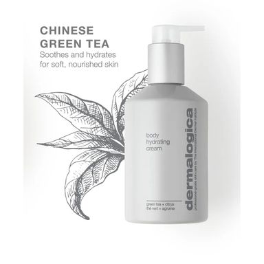 Dermalogica_Conditioning Body Wash