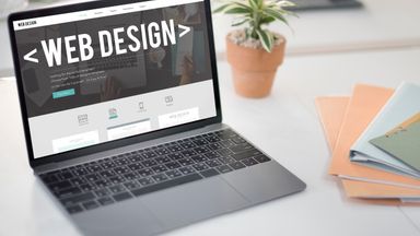 Web Design - Web Starter