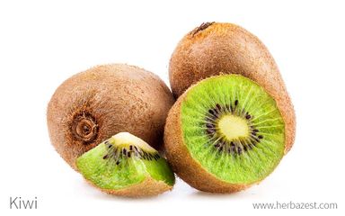 Kiwi Tray Packs- 1Lb