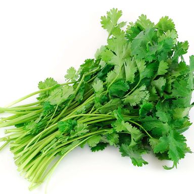 Cilantro 30ct