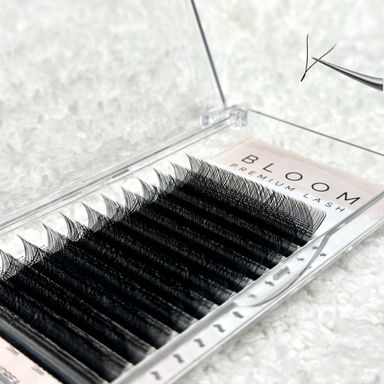 Bloom Lash YY