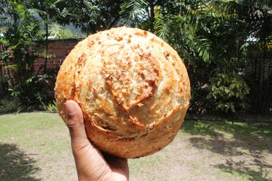 Coconut Sourdough