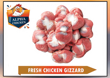 FRESH CHICKEN GIZZARD