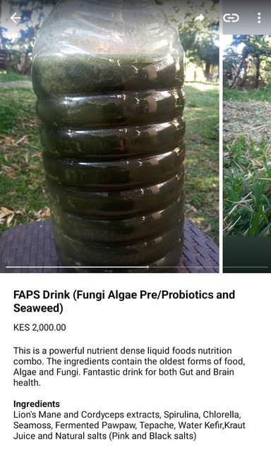 FAPS Drink (Fungi Algae Pre/Probiotics and Seaweed)