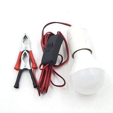 12W LED GLOBE + CLAMPS + SWITCH