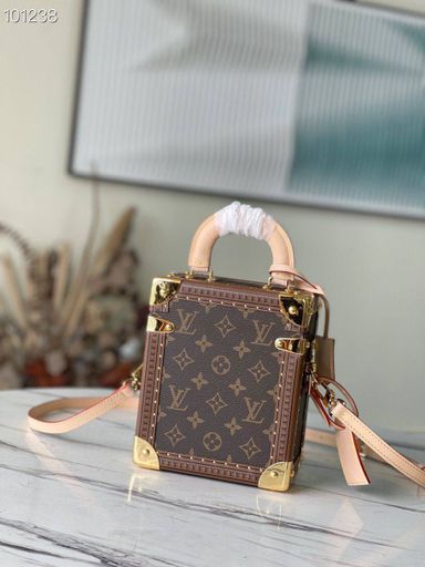  LOUIS VUITTON Camera Box bag