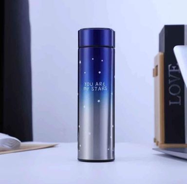 Thermos Flask (500ml)