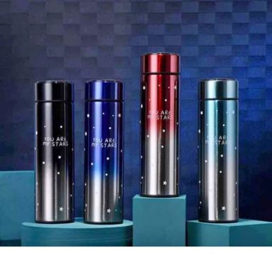 Thermos Flask (500ml)