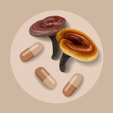 Reishi Mushroom capsules 60