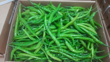 Green Chillies- 4kg