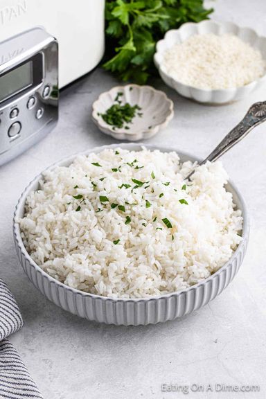 Plain Rice 