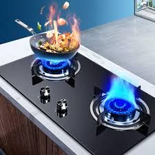 Double Electric Gas Stove