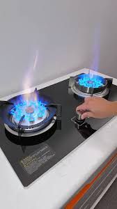 Double Electric Gas Stove