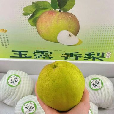 爆甜特级玉露香梨 （ -+3.1kg / 盒 ）