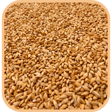 Cereals & Grains