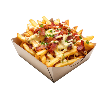 Bacon Cheese Fries COMBO