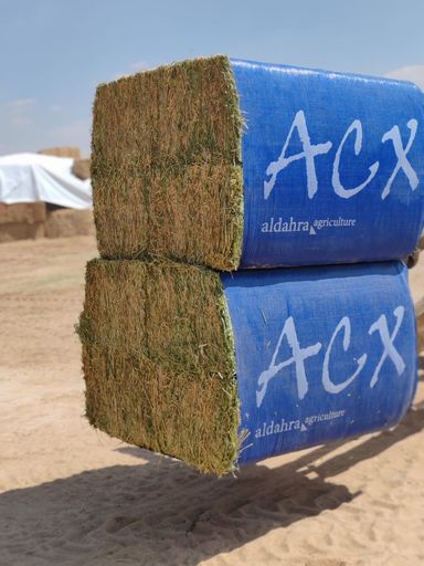 Alfalfa U.S.A 450 kg