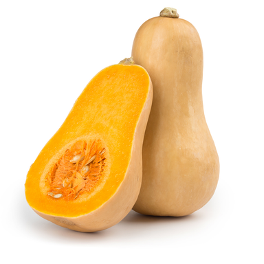 Butternut 