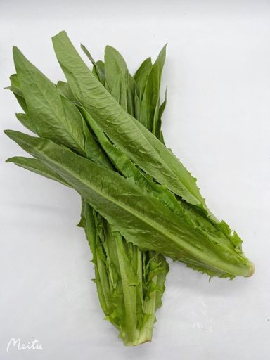 油麦菜 （ 1kg+- ）