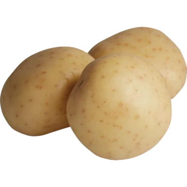 Potato